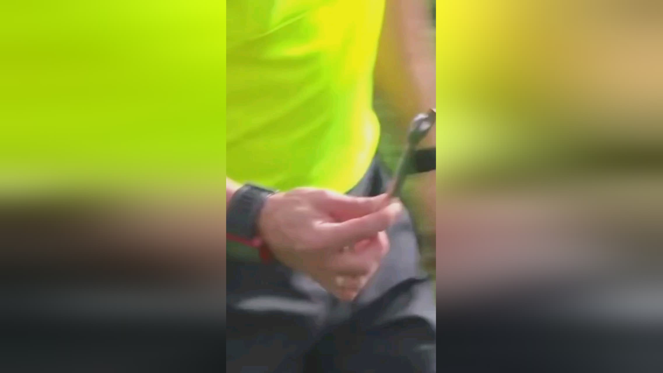 取得了